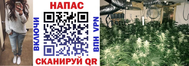 мега ТОР  Ворсма  Марихуана ГИДРОПОН  где купить  